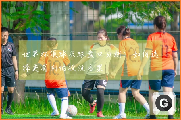世界杯滚球买球盘口分析：如何选择更有利的投注方案