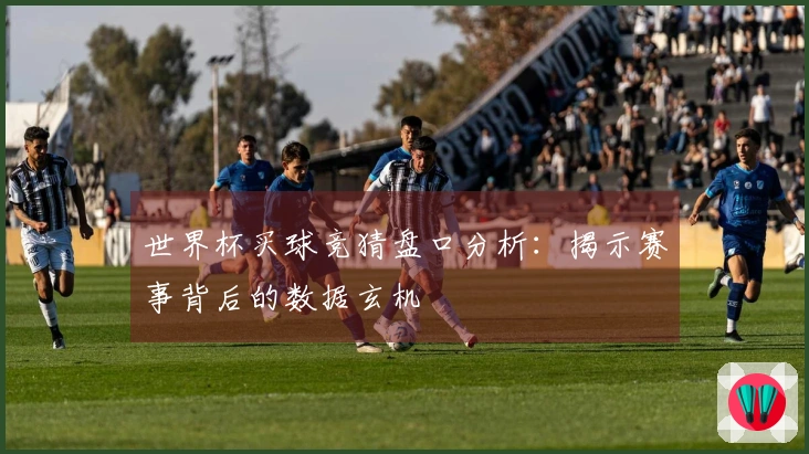 世界杯买球竞猜盘口分析：揭示赛事背后的数据玄机