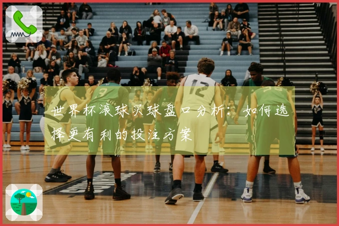 世界杯滚球买球盘口分析：如何选择更有利的投注方案
