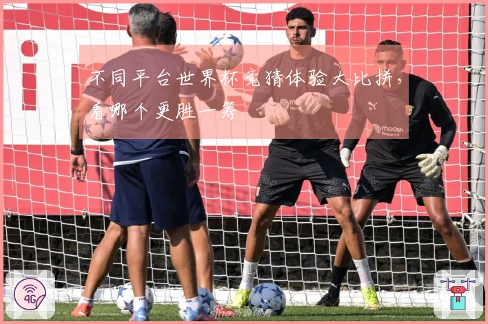 不同平台世界杯竞猜体验大比拼，看哪个更胜一筹